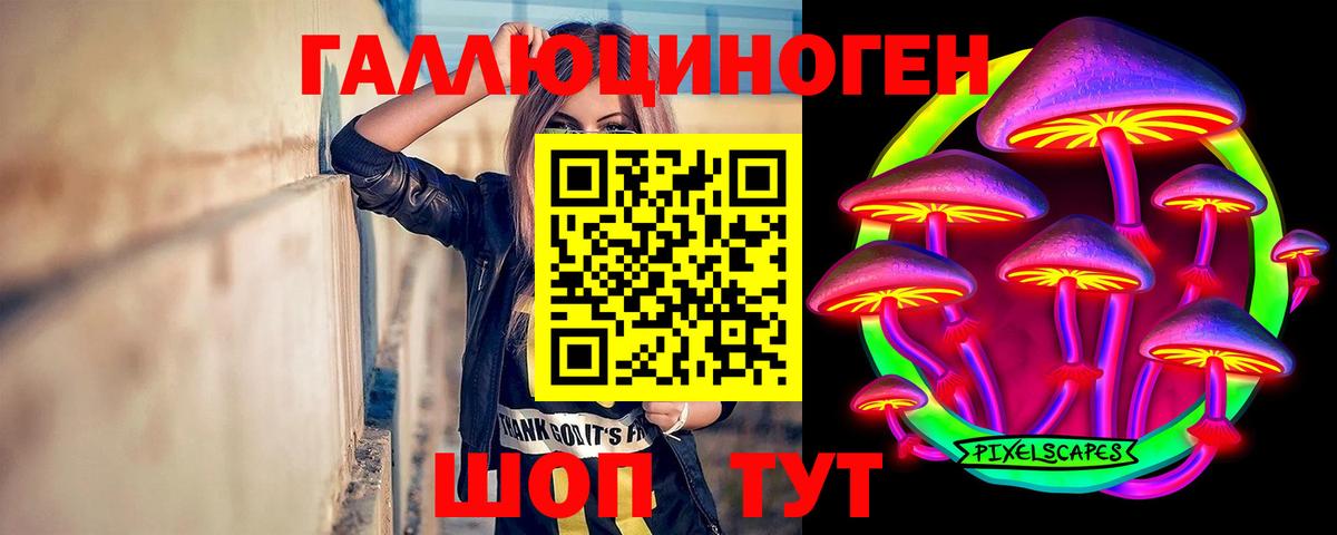 Псилоцибиновые грибы прущие грибы  Вход с VPN  Протвино 